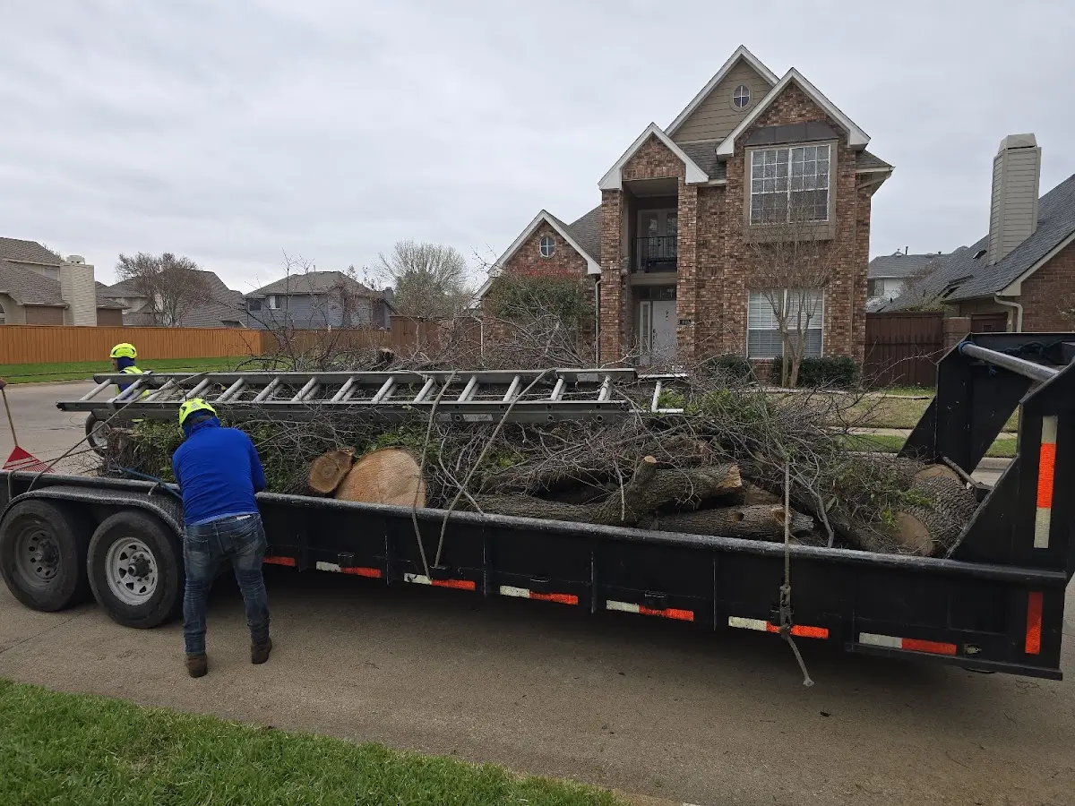 Expert Tree Fertilization with proper safety equipment in Flemington